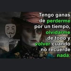 Meet your Posher, Armando